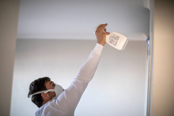 Best Office Mold Removal Services  in Westminster, MD