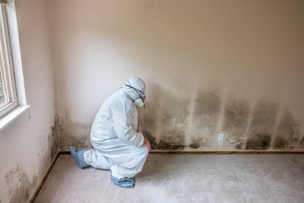 Crawl Space Mold Removal in Westminster, MD